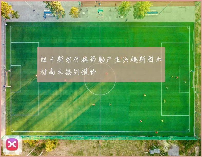 纽卡斯尔对施蒂勒产生兴趣斯图加特尚未接到报价